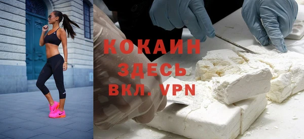 индика Волоколамск