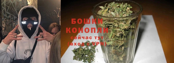 индика Волоколамск