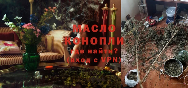 индика Волоколамск