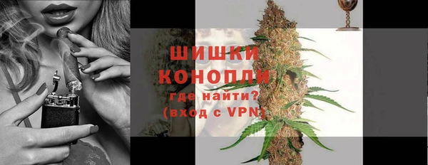 индика Волоколамск