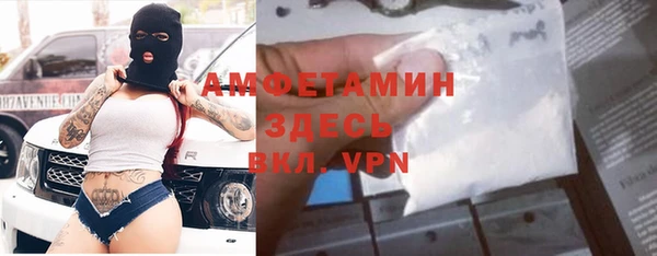 индика Волоколамск