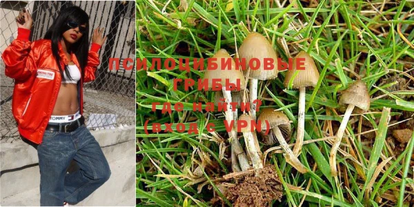 индика Волоколамск