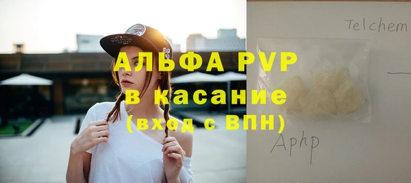 индика Волоколамск