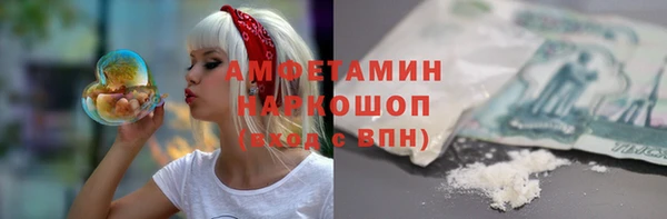 индика Волоколамск