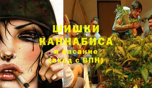 дживик Верея