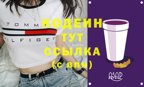индика Волоколамск